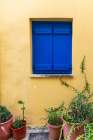 Greece, Crete, Chania harbor, old town. Blue shutters in yellow wall. Art Print
